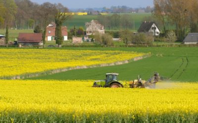 Vorsicht bei Veräußerung von Grundstücken, die zu einem land- oder forstwirtschaftlichen Betrieb gehörten